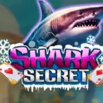 Shark Secret Casino APK: Your Full Handbook to Online Gaming 2025